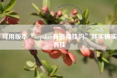可用版本“wepoker有透视挂吗”其实确实有挂