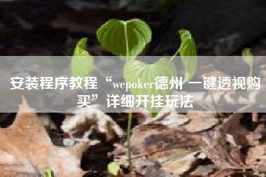 安装程序教程“wepoker德州 一键透视购买”详细开挂玩法