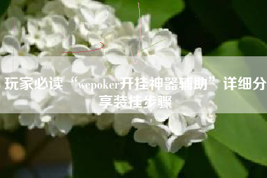玩家必读“wepoker开挂神器辅助”详细分享装挂步骤