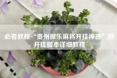 必看教程“贵州微乐麻将开挂神器	”附开挂脚本详细教程