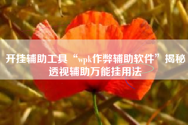 开挂辅助工具“wpk作弊辅助软件	”揭秘透视辅助万能挂用法