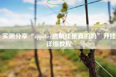 实测分享“appoker透明挂是真的吗”开挂详细教程