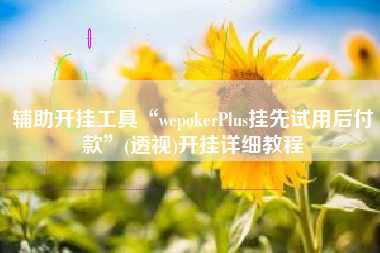 辅助开挂工具“wepokerPlus挂先试用后付款”(透视)开挂详细教程