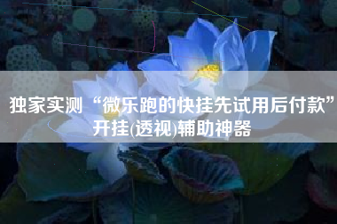 独家实测“微乐跑的快挂先试用后付款”开挂(透视)辅助神器
