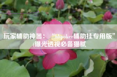 玩家辅助神器：“hhpoker辅助挂专用版”(曝光透视必备猫腻