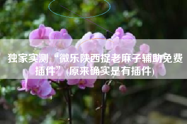 独家实测“微乐陕西捉老麻子辅助免费插件”(原来确实是有插件)