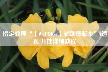 指定教程“【WePOKer】辅助器脚本”(透视)开挂详细教程
