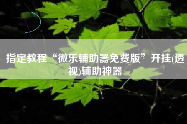 指定教程“微乐辅助器免费版”开挂(透视)辅助神器