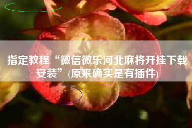 指定教程“微信微乐河北麻将开挂下载安装	”(原来确实是有插件)