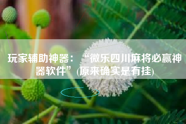 玩家辅助神器：“微乐四川麻将必赢神器软件”(原来确实是有挂)