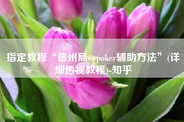 指定教程“德州局wepoker辅助方法”(详细透视教程)-知乎