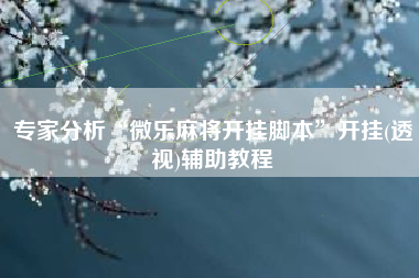 专家分析“微乐麻将开挂脚本”开挂(透视)辅助教程