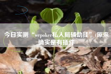 今日实测“wepoker私人局辅助挂	”(原来确实是有插件