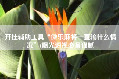 开挂辅助工具“微乐麻将一直输什么情况”(曝光透视必备猫腻