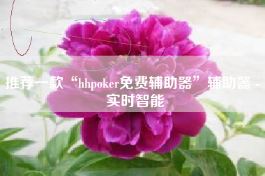 推荐一款“hhpoker免费辅助器”辅助器 - 实时智能