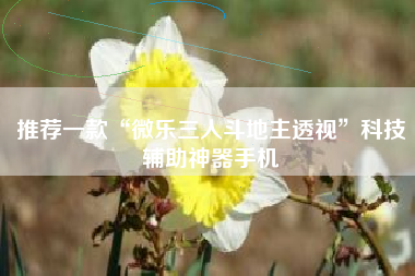 推荐一款“微乐三人斗地主透视”科技辅助神器手机