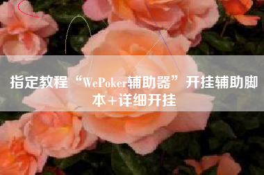 指定教程“WePoker辅助器”开挂辅助脚本+详细开挂