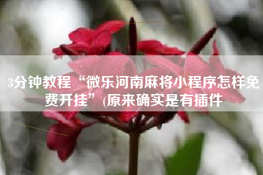 3分钟教程“微乐河南麻将小程序怎样免费开挂”(原来确实是有插件