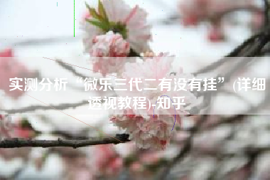 实测分析“微乐三代二有没有挂	”(详细透视教程)-知乎