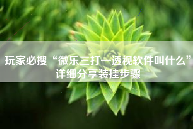 玩家必搜“微乐三打一透视软件叫什么”详细分享装挂步骤