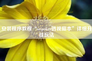 安装程序教程“wepoker透视脚本”详细开挂玩法