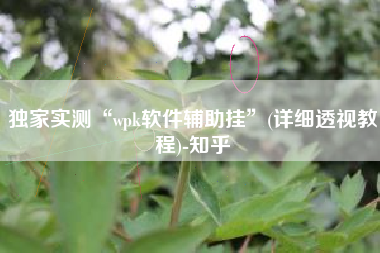 独家实测“wpk软件辅助挂”(详细透视教程)-知乎