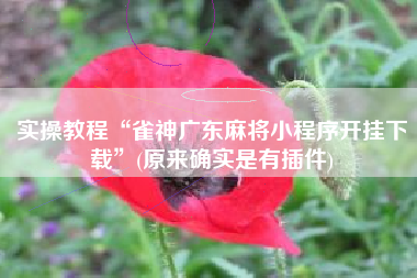 实操教程“雀神广东麻将小程序开挂下载	”(原来确实是有插件)