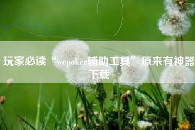 玩家必读“wepoker辅助工具	”原来有神器下载