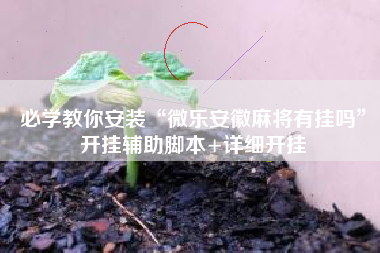 必学教你安装“微乐安徽麻将有挂吗”开挂辅助脚本+详细开挂