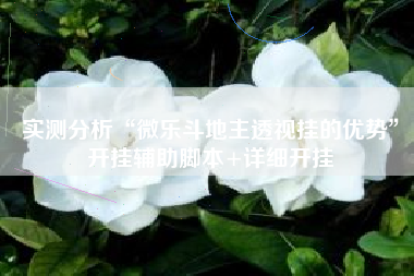 实测分析“微乐斗地主透视挂的优势	”开挂辅助脚本+详细开挂