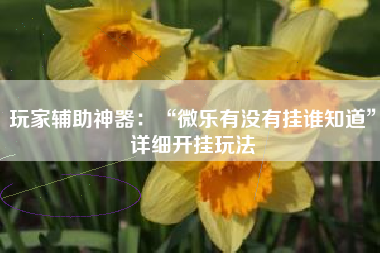 玩家辅助神器：“微乐有没有挂谁知道	”详细开挂玩法