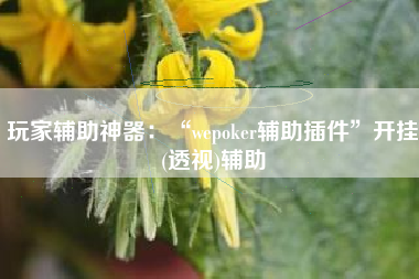 玩家辅助神器：“wepoker辅助插件”开挂(透视)辅助