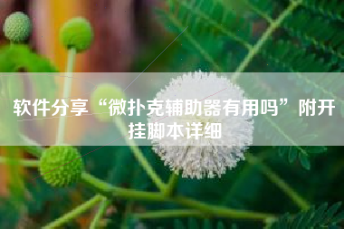 软件分享“微扑克辅助器有用吗”附开挂脚本详细