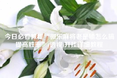 今日必看教程“微乐麻将老是输怎么搞提高胜率	”(透视)开挂详细教程