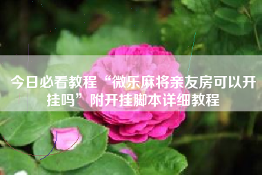 今日必看教程“微乐麻将亲友房可以开挂吗”附开挂脚本详细教程