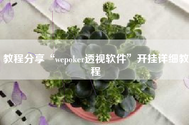 教程分享“wepoker透视软件”开挂详细教程