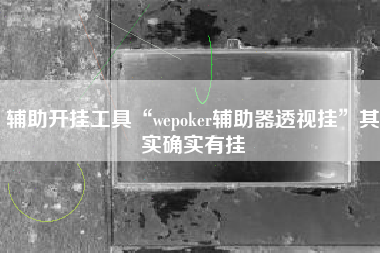 辅助开挂工具“wepoker辅助器透视挂	”其实确实有挂
