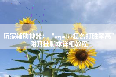 玩家辅助神器：“wepoker怎么打胜率高”附开挂脚本详细教程