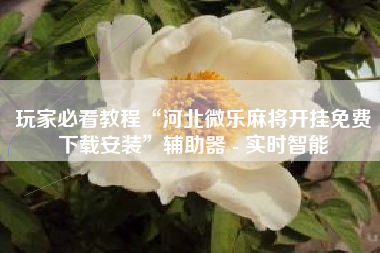 玩家必看教程“河北微乐麻将开挂免费下载安装”辅助器 - 实时智能