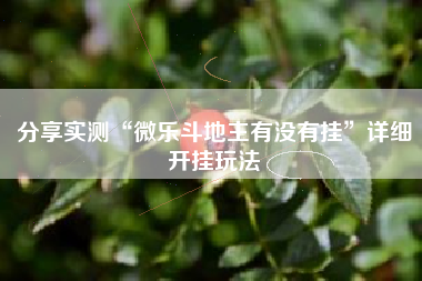 分享实测“微乐斗地主有没有挂”详细开挂玩法