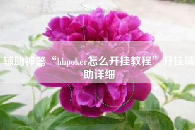 辅助神器“hhpoker怎么开挂教程	”开挂辅助详细