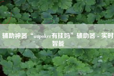 辅助神器“uupoker有挂吗	”辅助器 - 实时智能