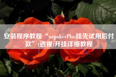 安装程序教程“wepokerPlus挂先试用后付款	”(透视)开挂详细教程