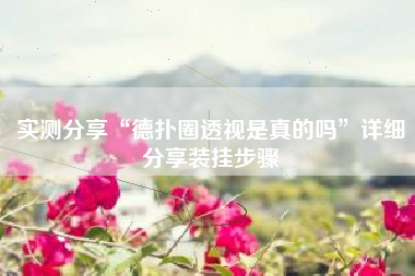 实测分享“德扑圈透视是真的吗”详细分享装挂步骤