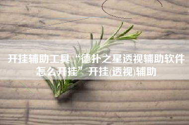 开挂辅助工具“德扑之星透视辅助软件怎么开挂	”开挂(透视)辅助