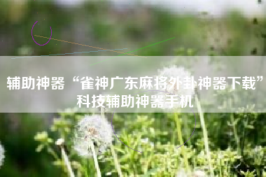 辅助神器“雀神广东麻将外卦神器下载”科技辅助神器手机