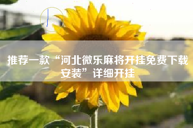 推荐一款“河北微乐麻将开挂免费下载安装”详细开挂