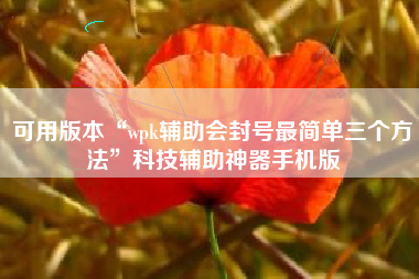 可用版本“wpk辅助会封号最简单三个方法”科技辅助神器手机版