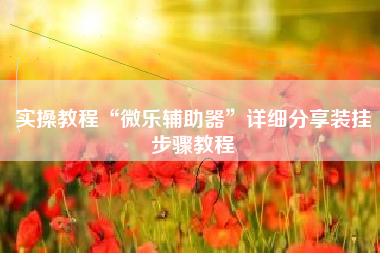 实操教程“微乐辅助器	”详细分享装挂步骤教程