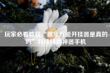 玩家必看教程“微乐万能开挂器是真的吗	”科技辅助神器手机
